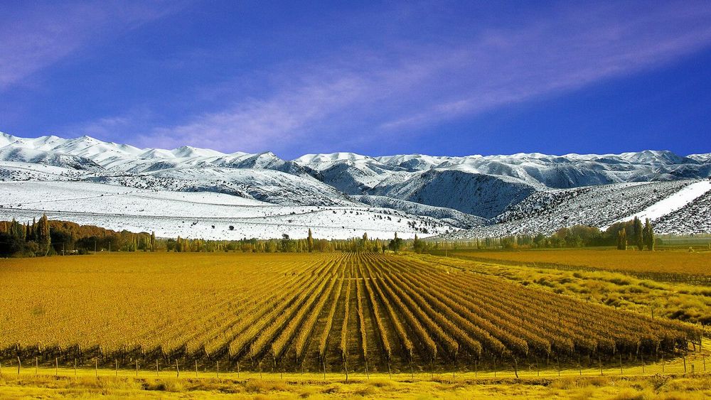 🍷 Mendoza en movimiento: vino, montaña y aventura para vivir a tu ritmo